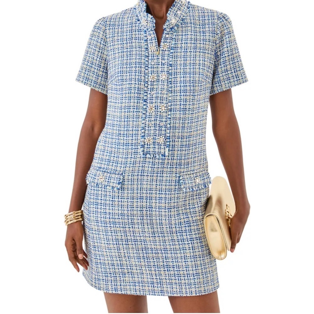Blue and White Tweed Dress